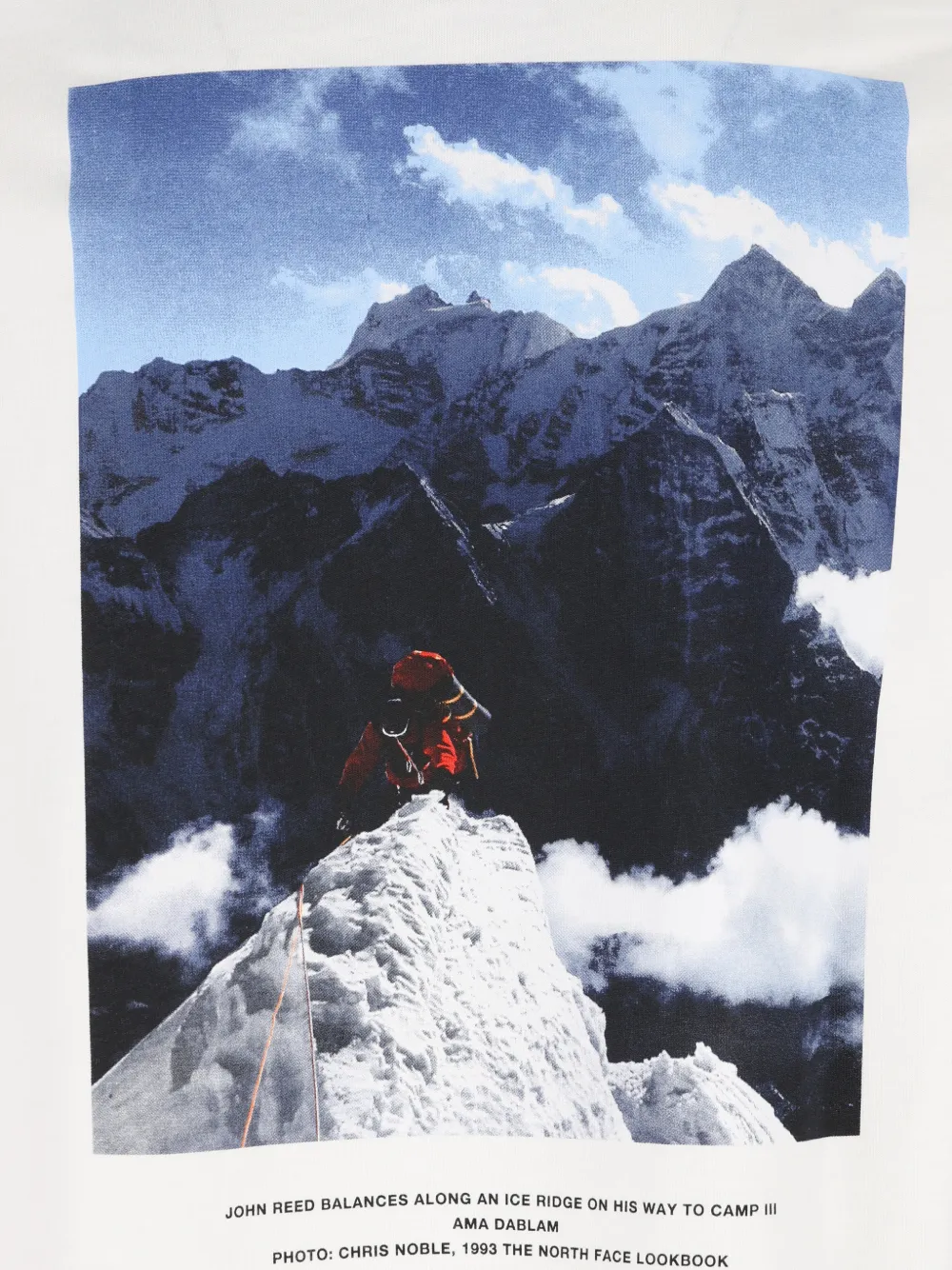 The North Face Denali T-shirt met print Wit