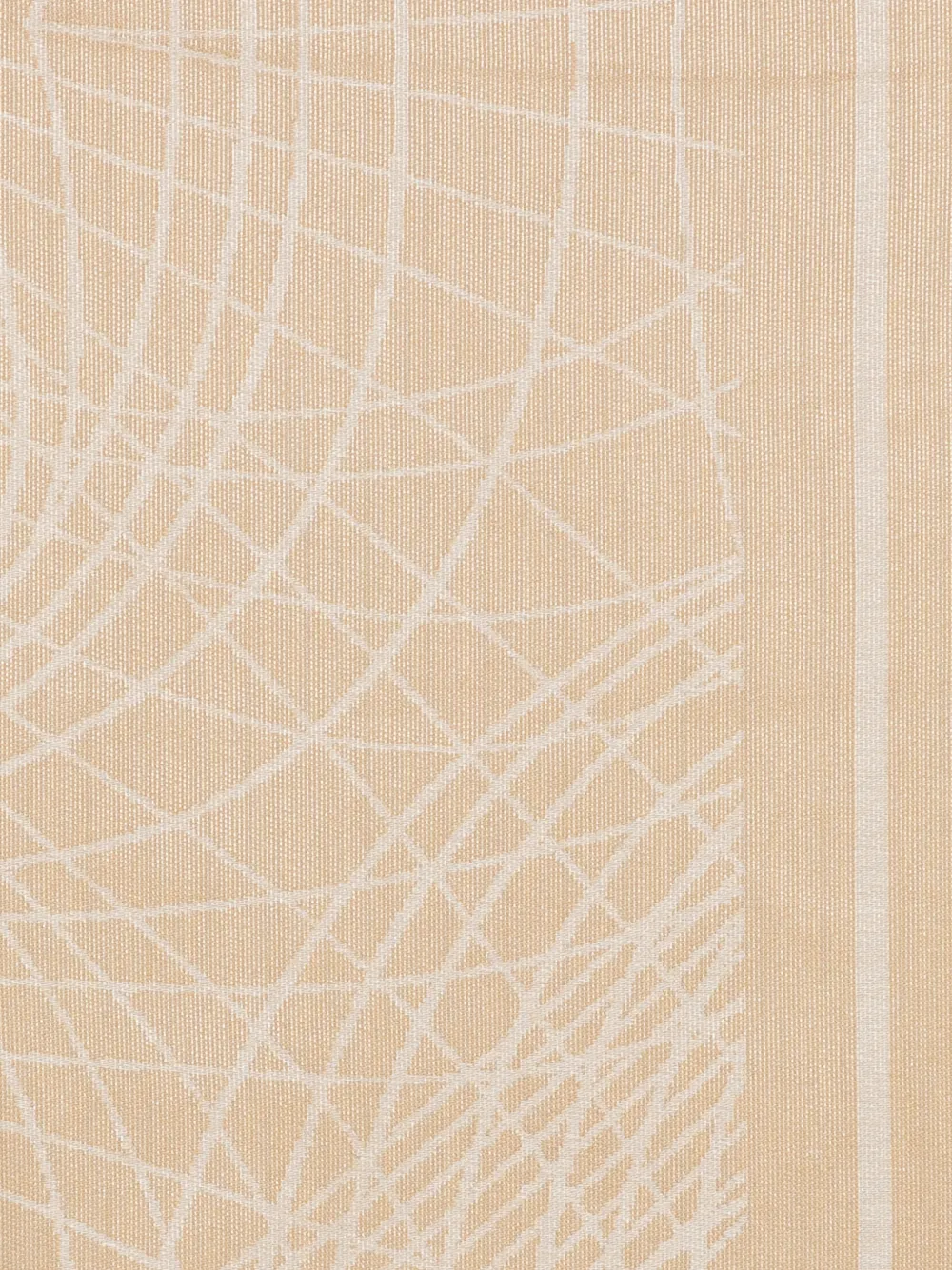 Elisabetta Franchi Foulard sjaal met lurex Beige