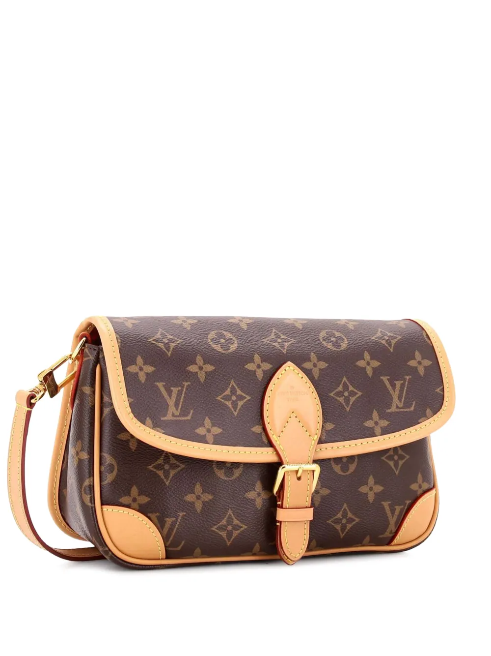 Louis Vuitton Pre-Owned Diane NM Handbag Monogram Canvas crossbody bag - Marrone