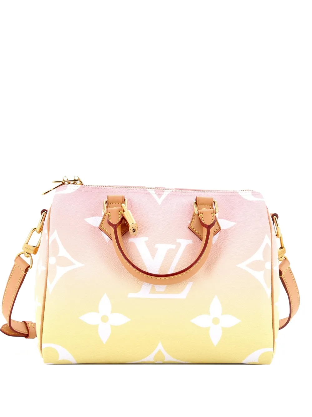 Louis Vuitton Pre-Owned Speedy Bandouliere Bag By The Pool Monogram Giant 25 satchel - Mehrfarbig