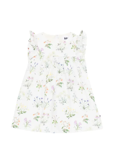 Molo Cacao ruffled floral dress