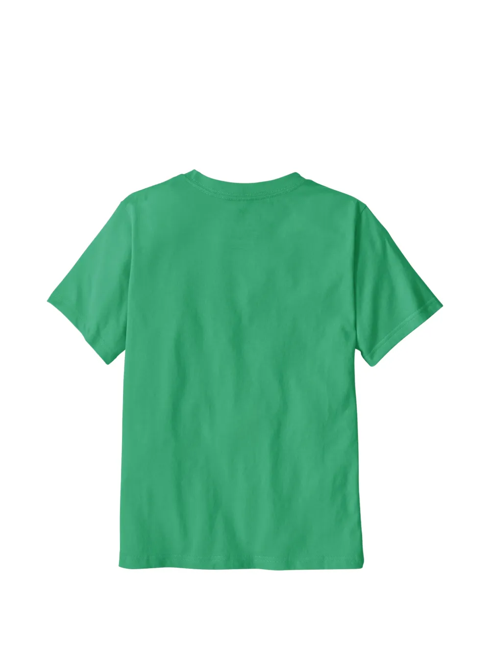 Patagonia Kids T-shirt met logoprint Groen