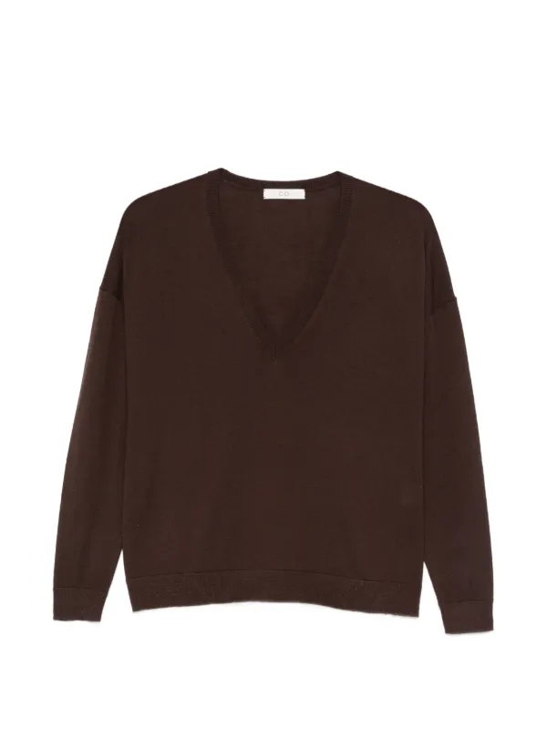 Co V-neck Sweater in Brown
