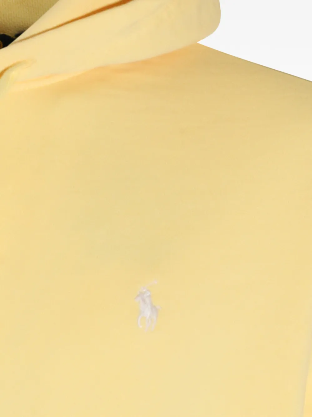 Polo Ralph Lauren Sweater met capuchon Geel
