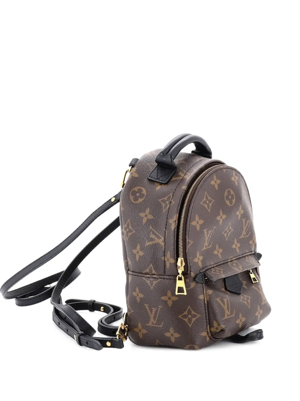 Louis Vuitton Pre-Owned Palm Springs Monogram Canvas Mini backpack - Marrone