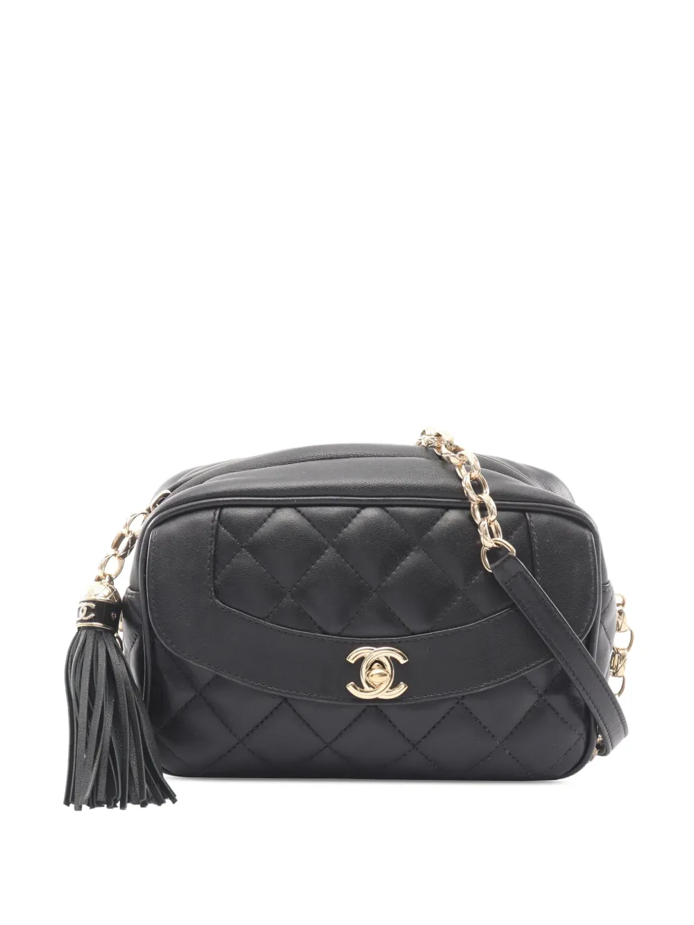 CHANEL Pre-Owned 2019 CC Quilted Lambskin Diana Camera Bag crossbody bag - Nero