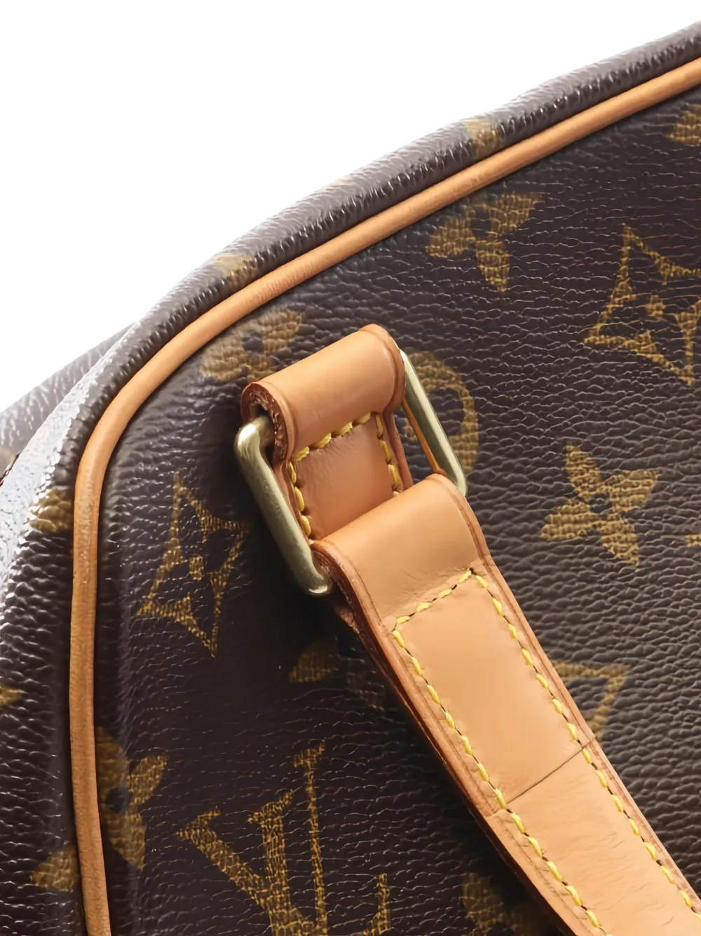 Louis Vuitton Pre-Owned 2004 Excentri-Cite canvas shopper met monogram Bruin