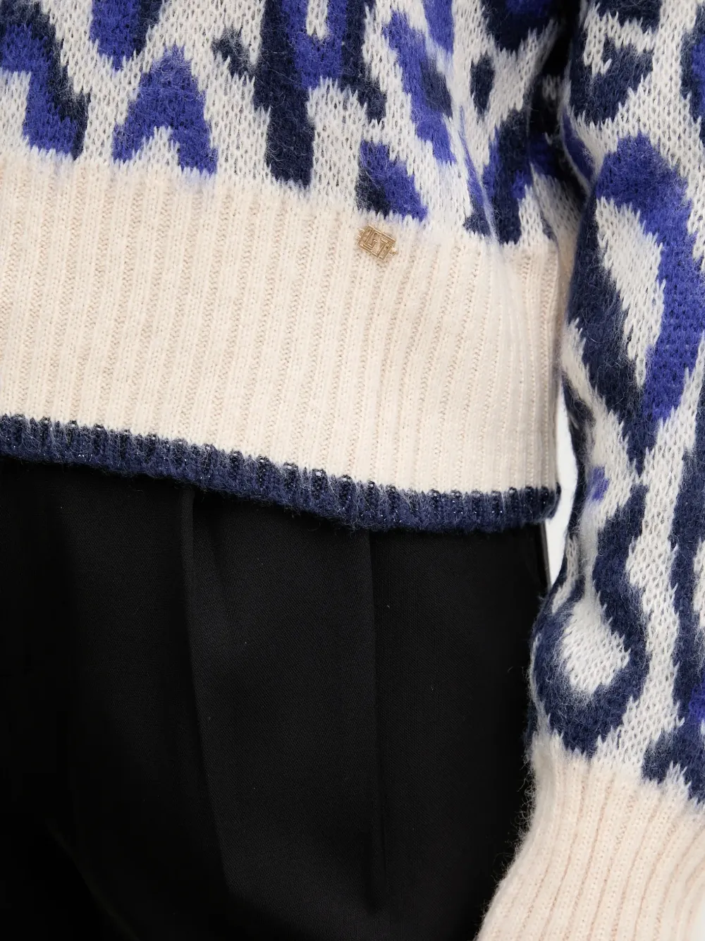 Gaudi Trui met jacquard Beige