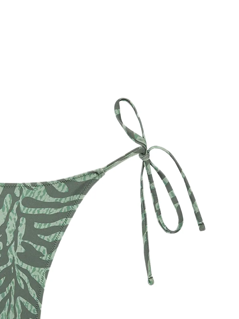  Tropic Of C Zebra-pattern Bikini Bottom - Green 
