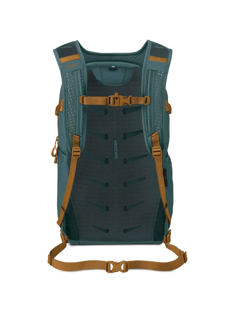 Osprey Daylite Plus rugzak Blauw