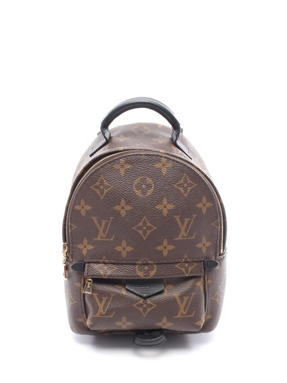 Louis Vuitton Pre-Owned 2020 Monogram Mini Palm Springs backpack - Marrone