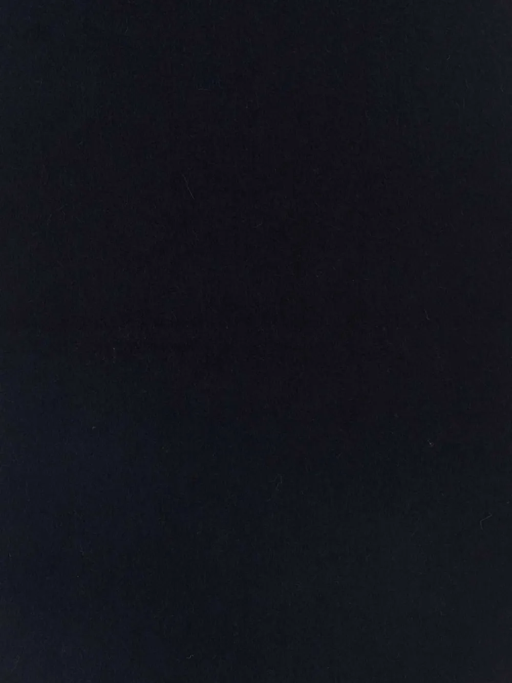  Max Mara Fringed Cashmere Scarf - Blue 