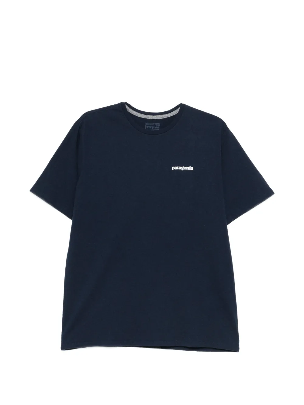 Patagonia graphic T-shirt - Blu