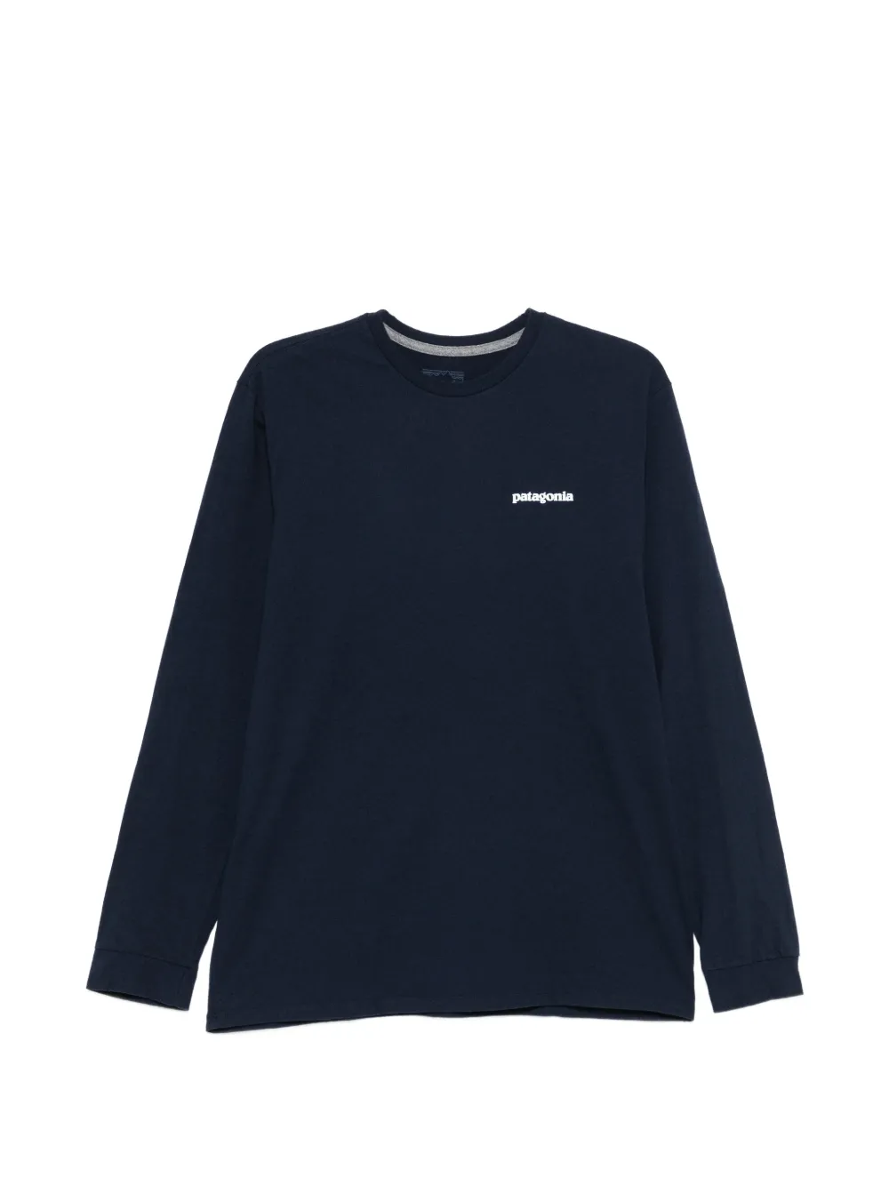 Patagonia long sleeve graphic T-shirt - Blu
