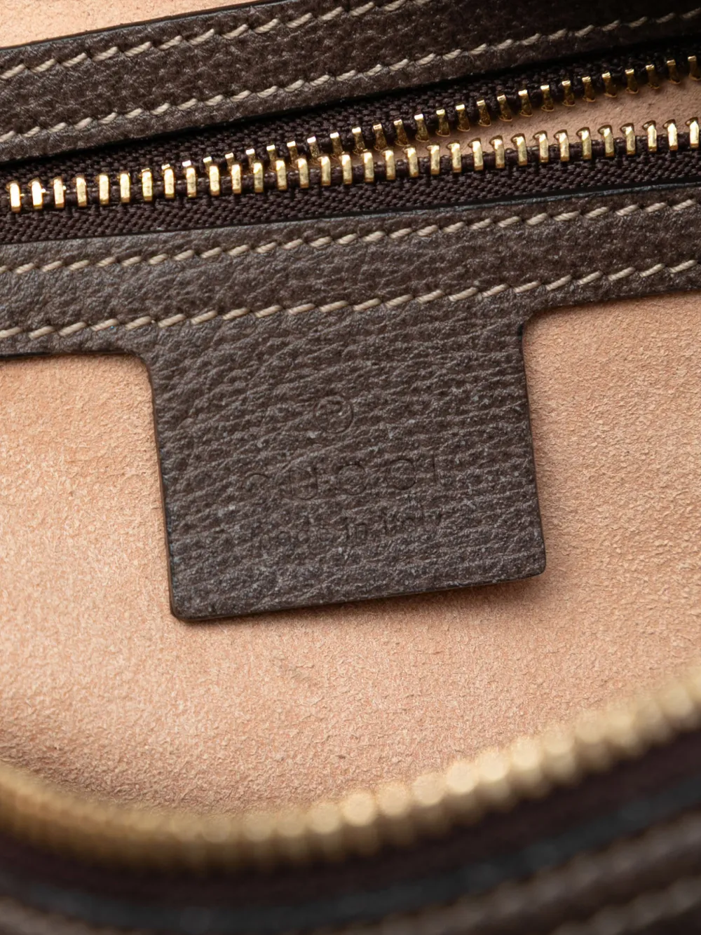 2016-2026 Gg Supreme Ophidia Crossbody Bag
