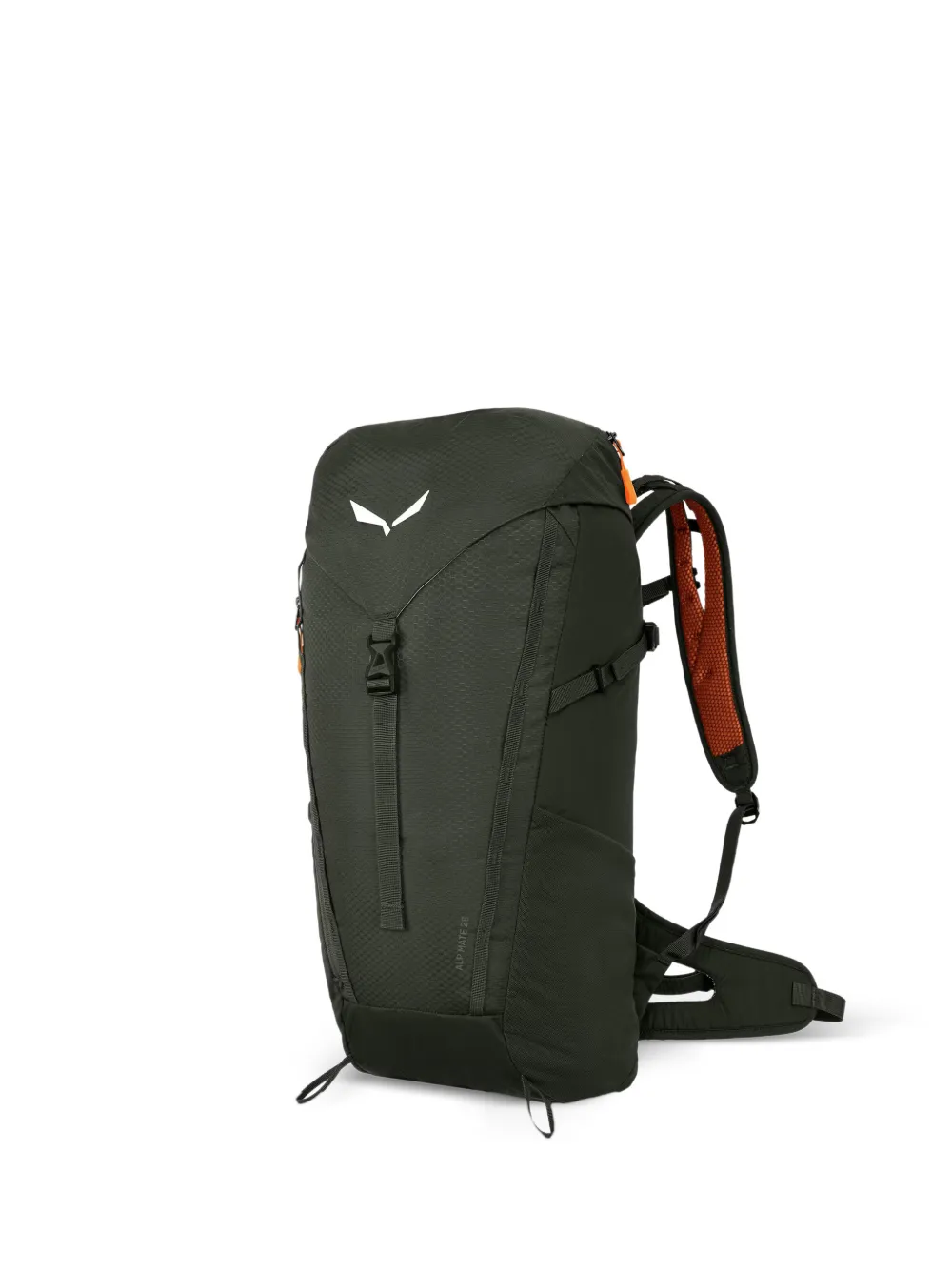 Salewa 26L Alp Mate backpack - Verde