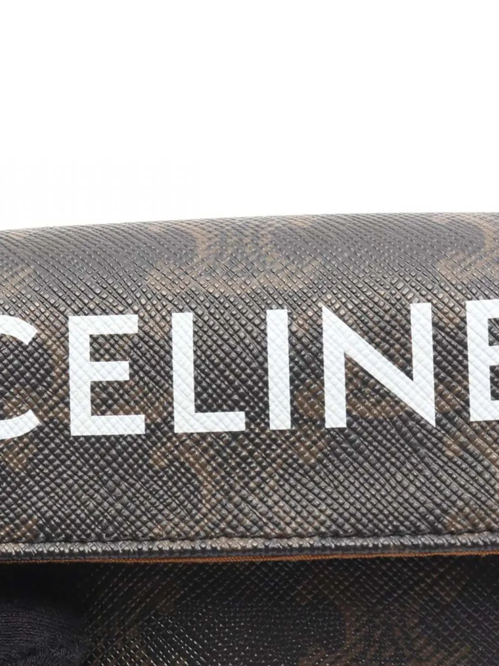 2021 Coated Canvas Triomphe Triangle Crossbody Bag