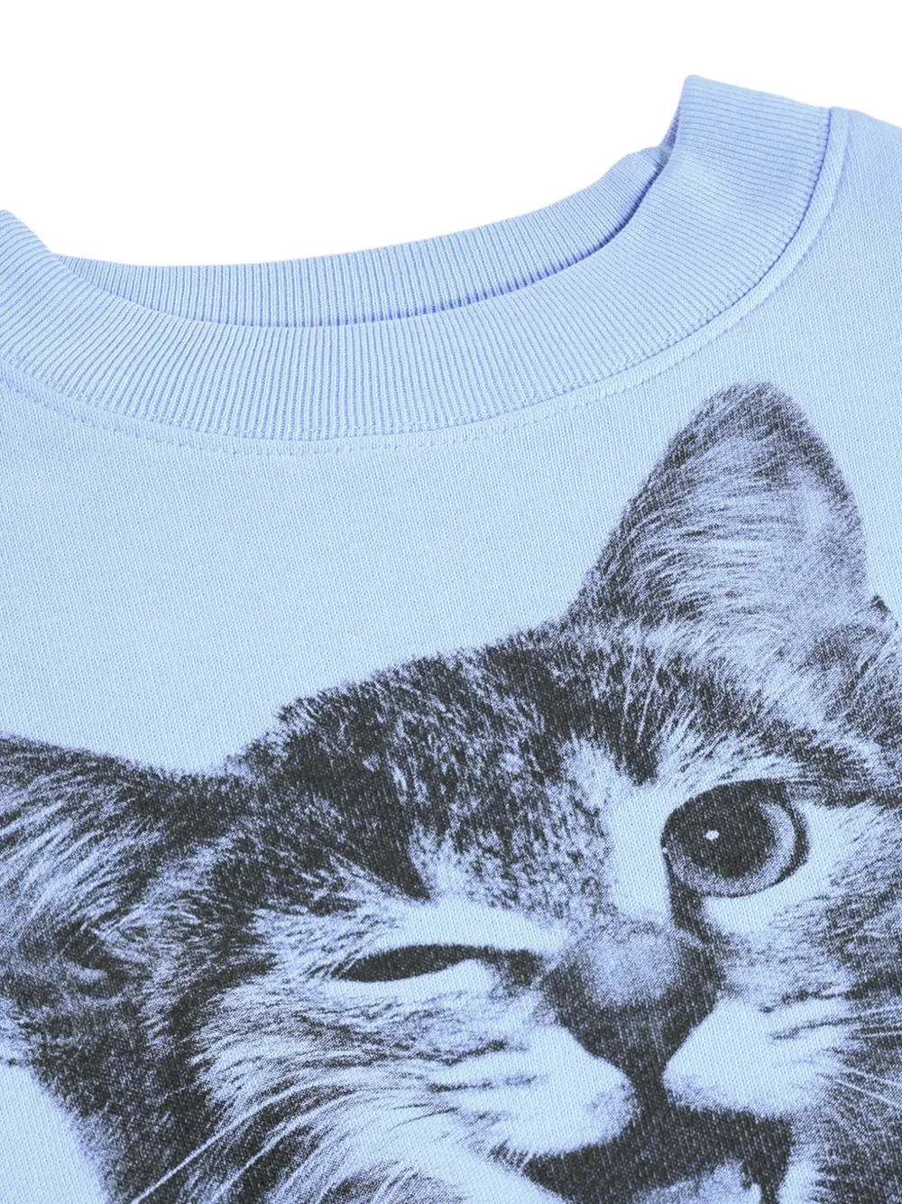 Molo Sweater met kittenprint Blauw