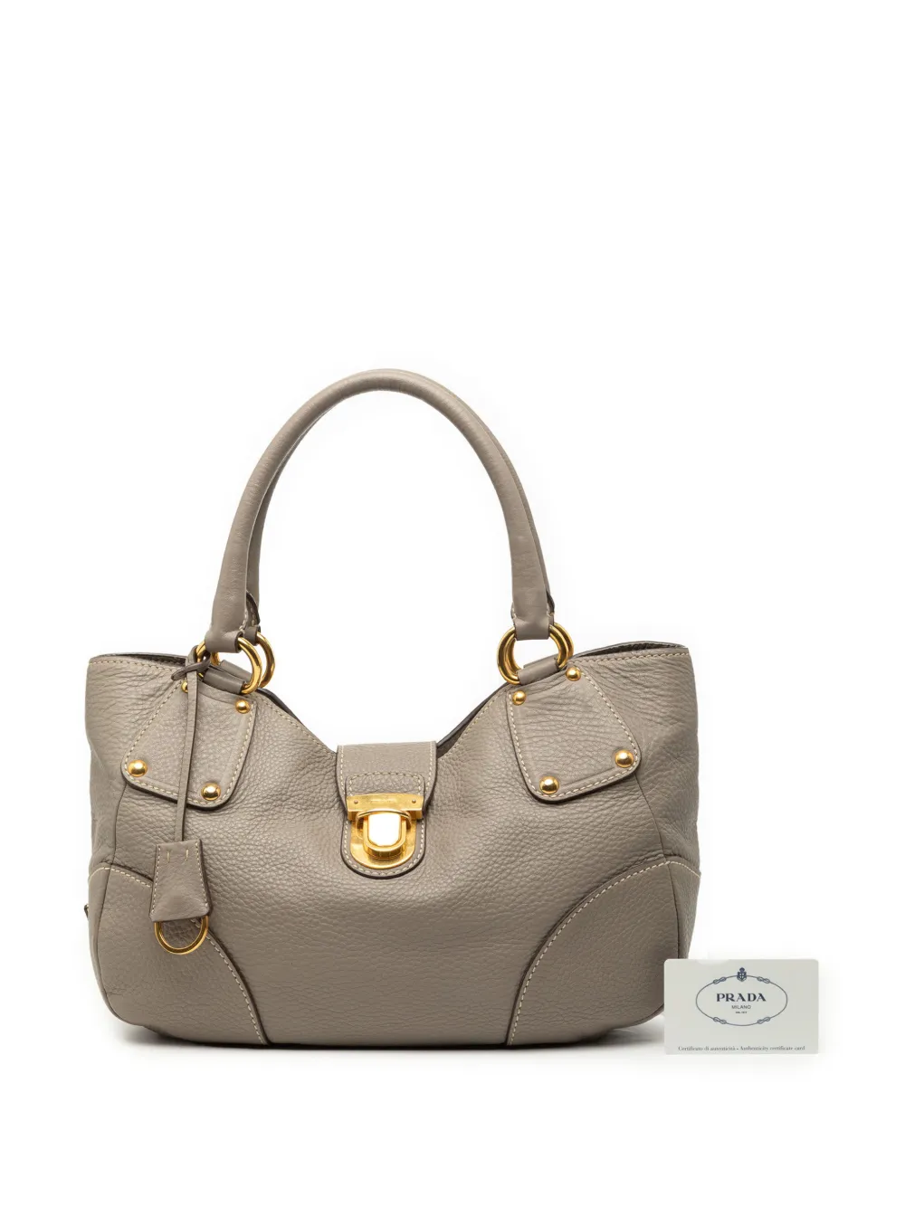 2013-2025 Vitello Daino Shoulder Bag