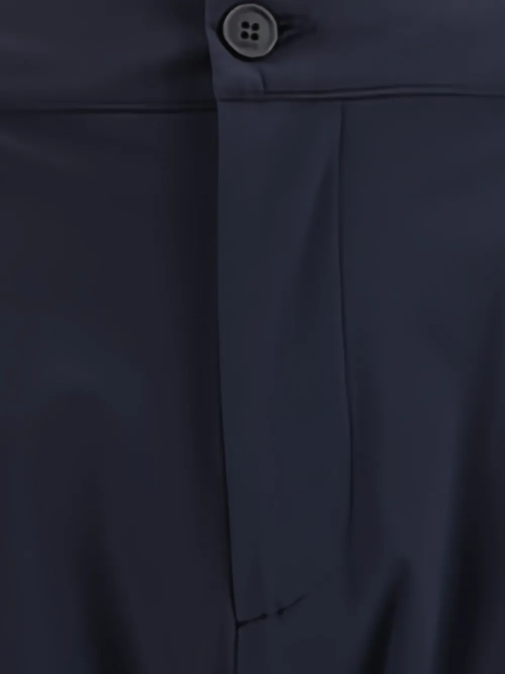  Cruna Button Pleated Trousers - Blue 