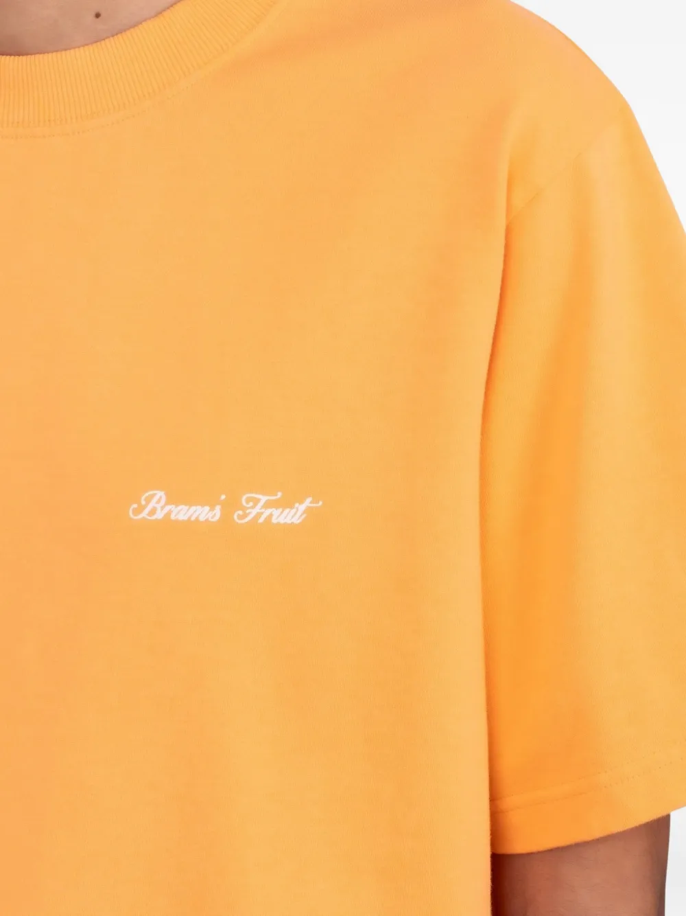 Bram s Fruit T-shirt met grafische handschoenprint Oranje
