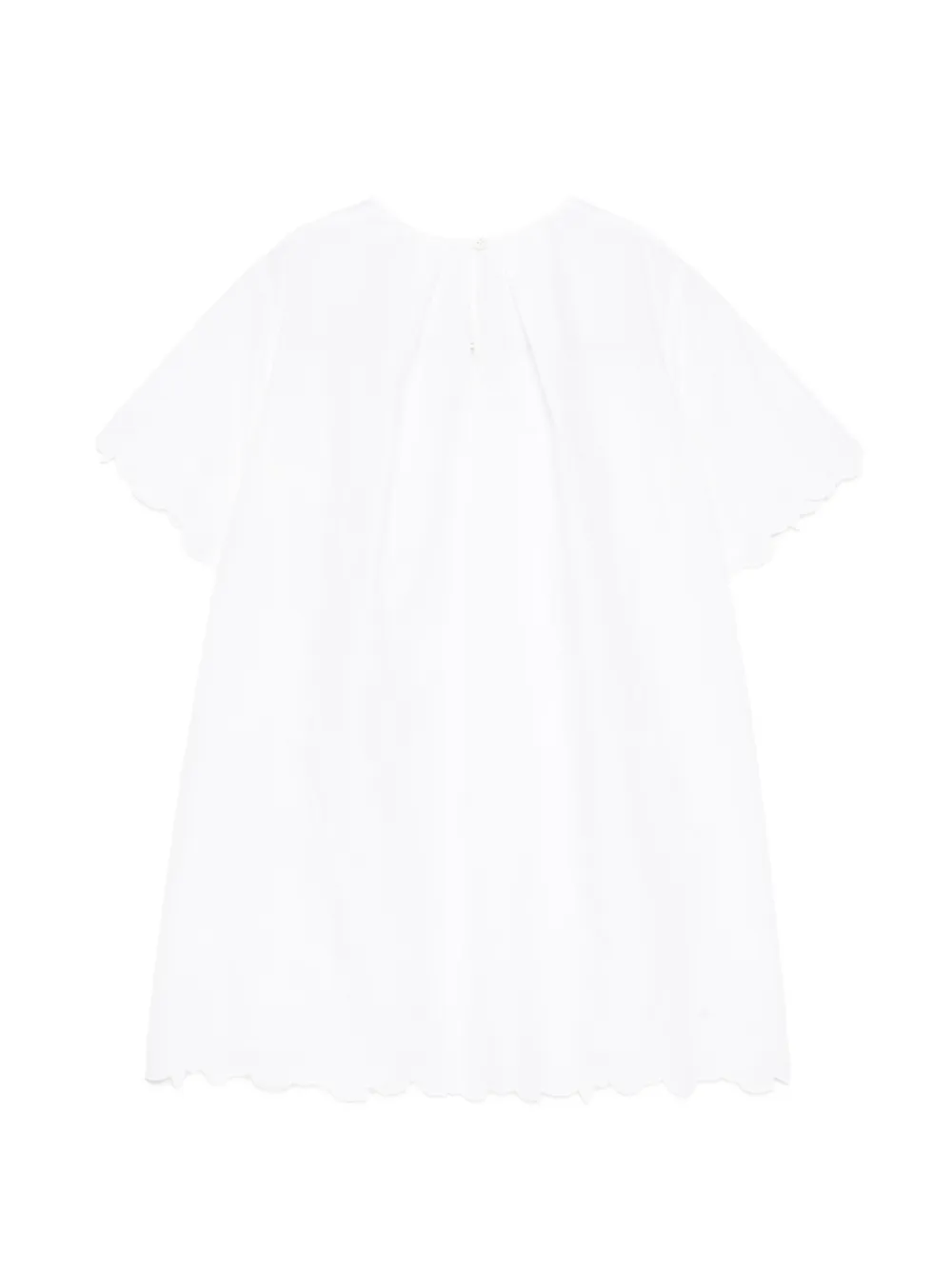 Embroidered A-Line Dress