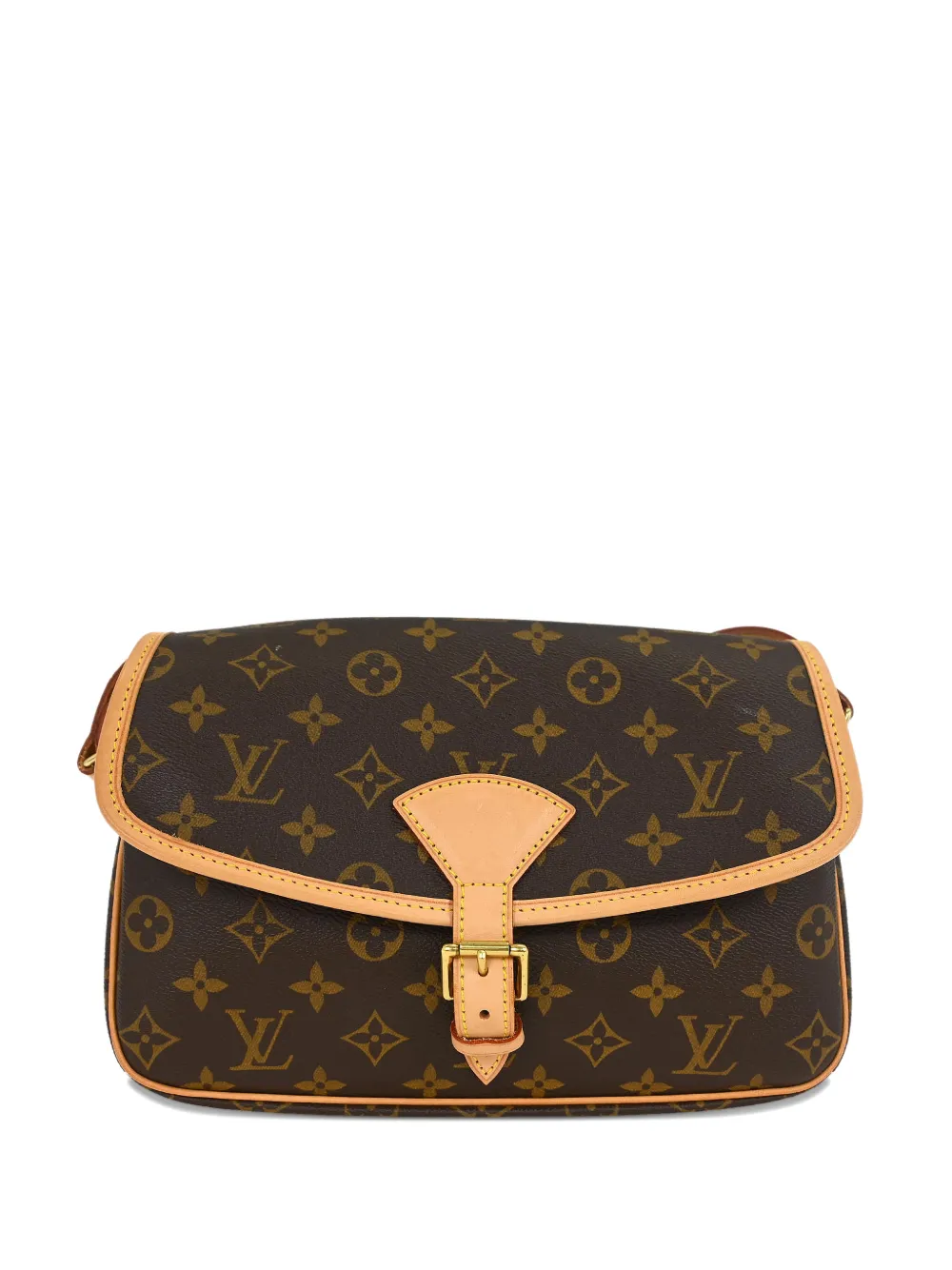 Louis Vuitton Pre-Owned 2008 Sologne monogram shoulder bag - Marrone