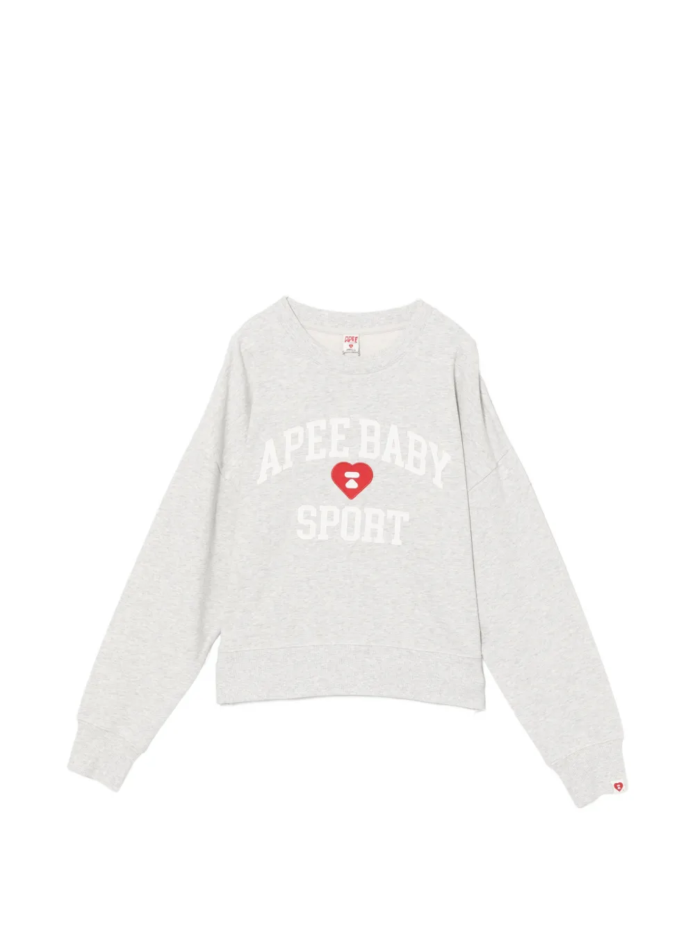 APEE™ by *A BATHING APE® Felpa con logo ricamato - Grigio