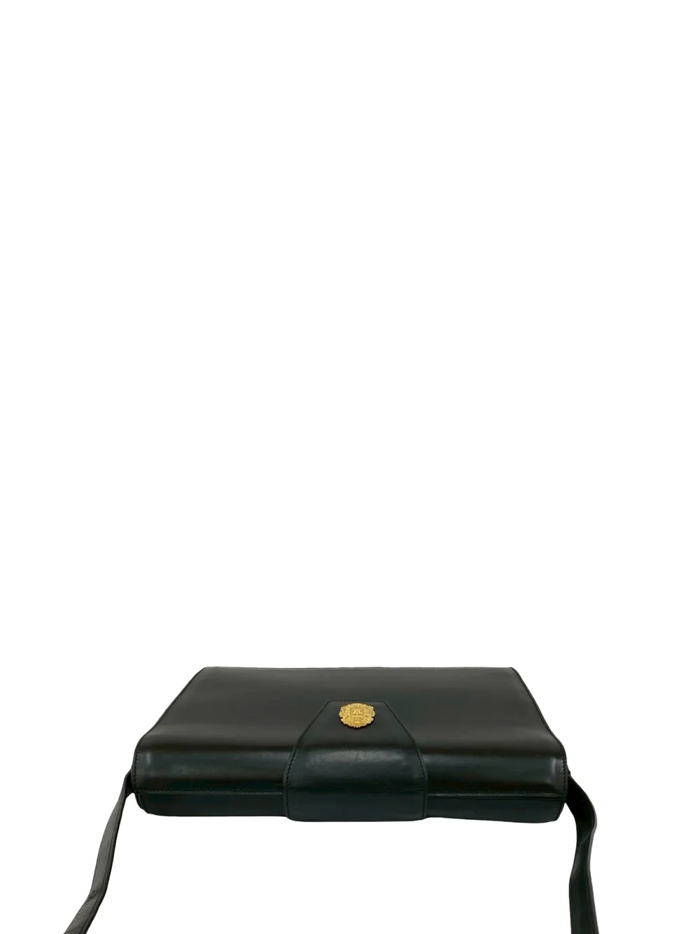 2010 Leather Triomphe Shoulder Bag