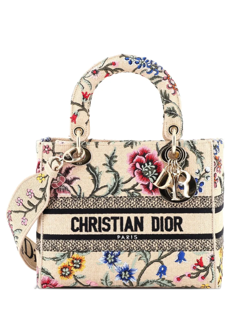 Christian Dior Pre-Owned Lady D-Lite Bag Embroidered Raffia Medium satchel - Multicolore