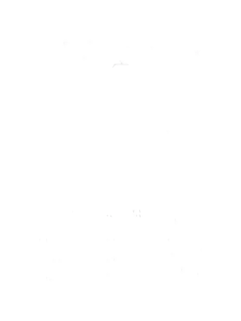 Levi's crewneck T-shirt