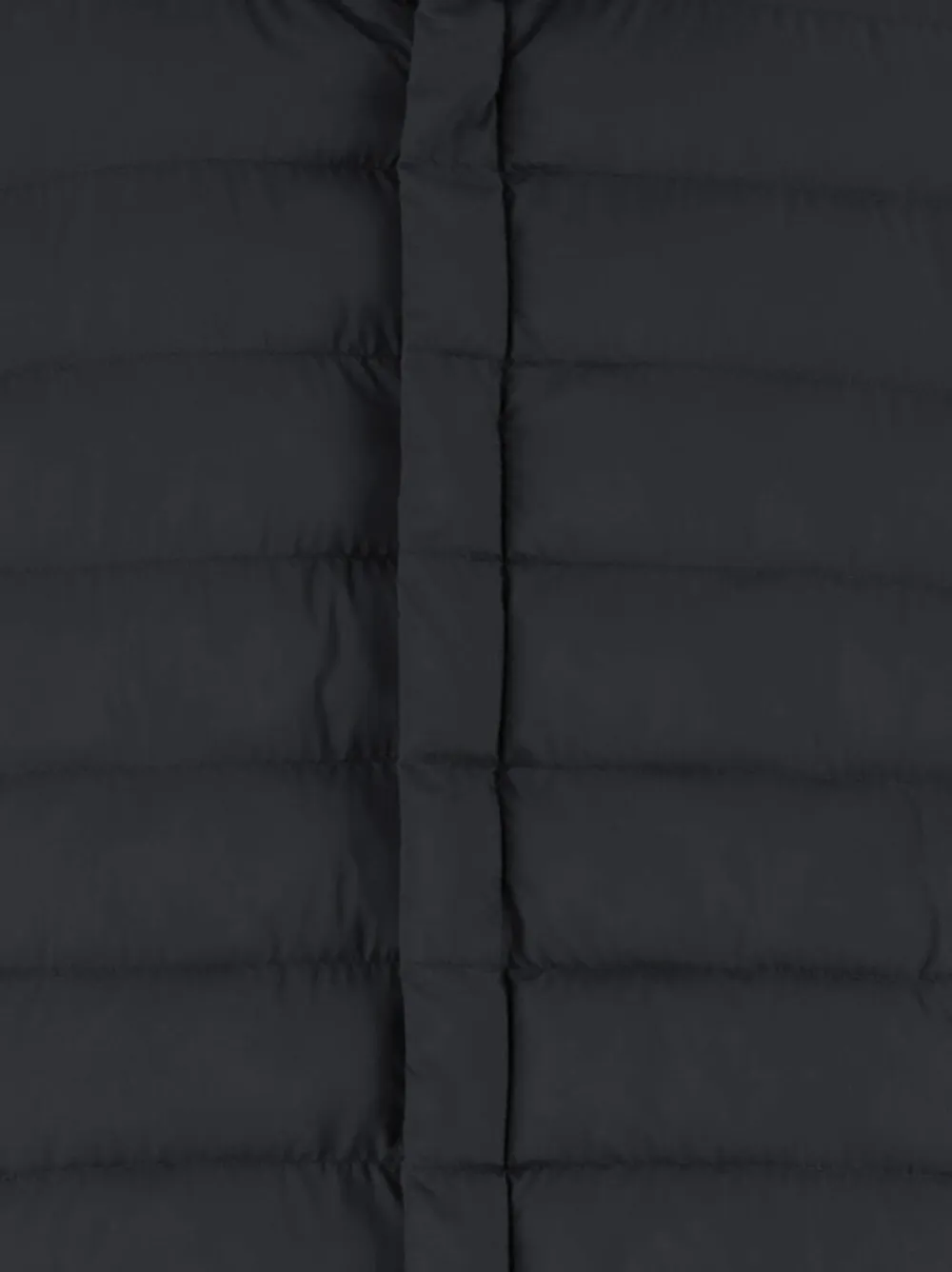 Herno Gewatteerd jack met hoge kraag Blauw