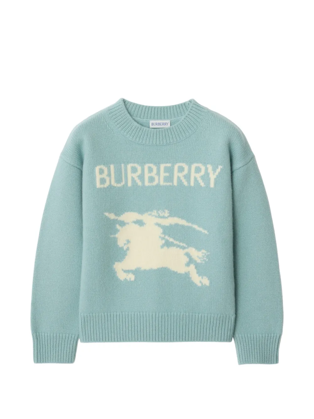 Burberry Kids Maglione EKD in cashmere - Blu