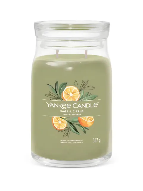 yankee candle vela Sage & Citrus grande