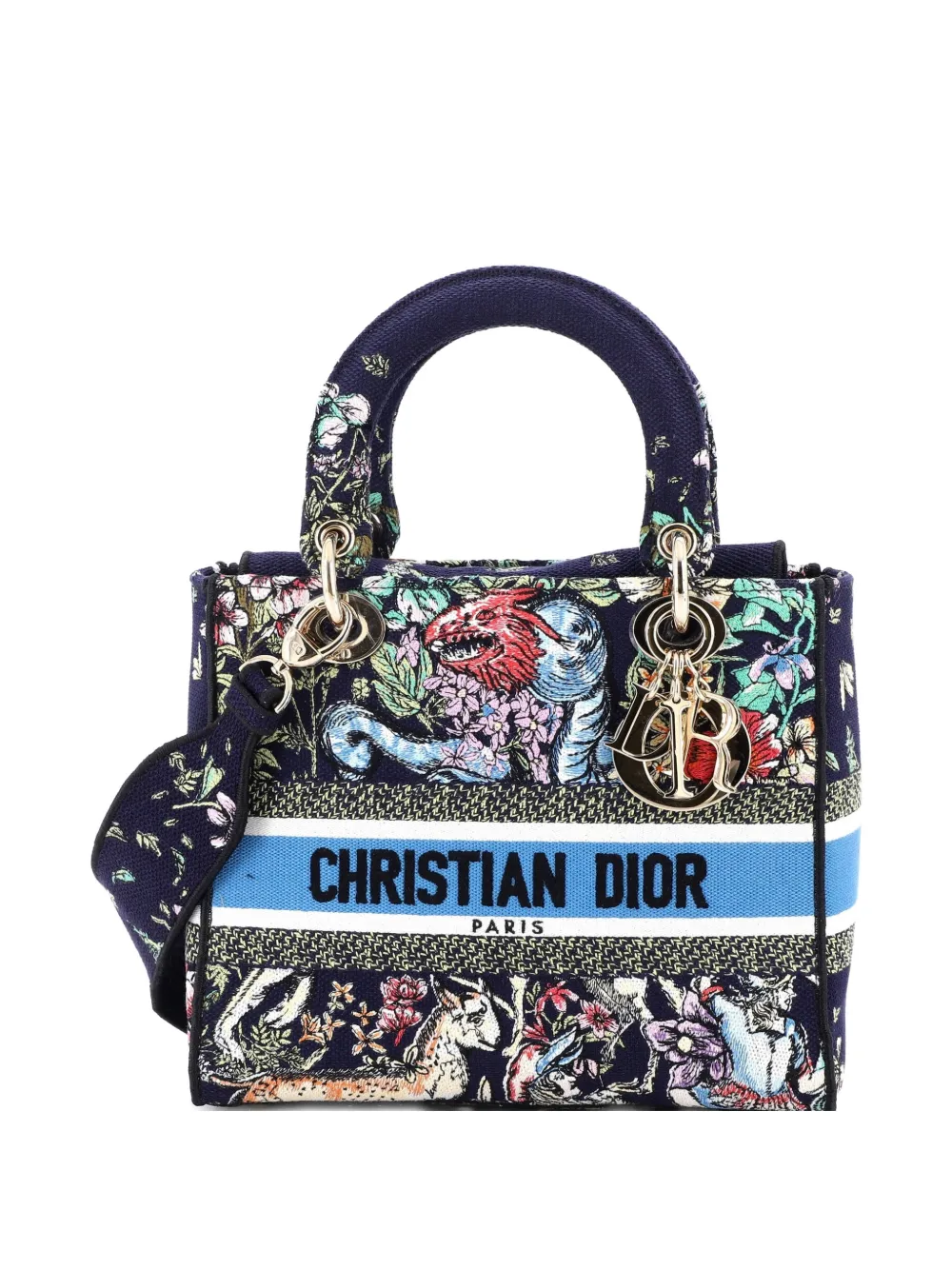 Christian Dior Pre-Owned Lady D-Lite Bag Embroidered Canvas Medium satchel - Multicolore