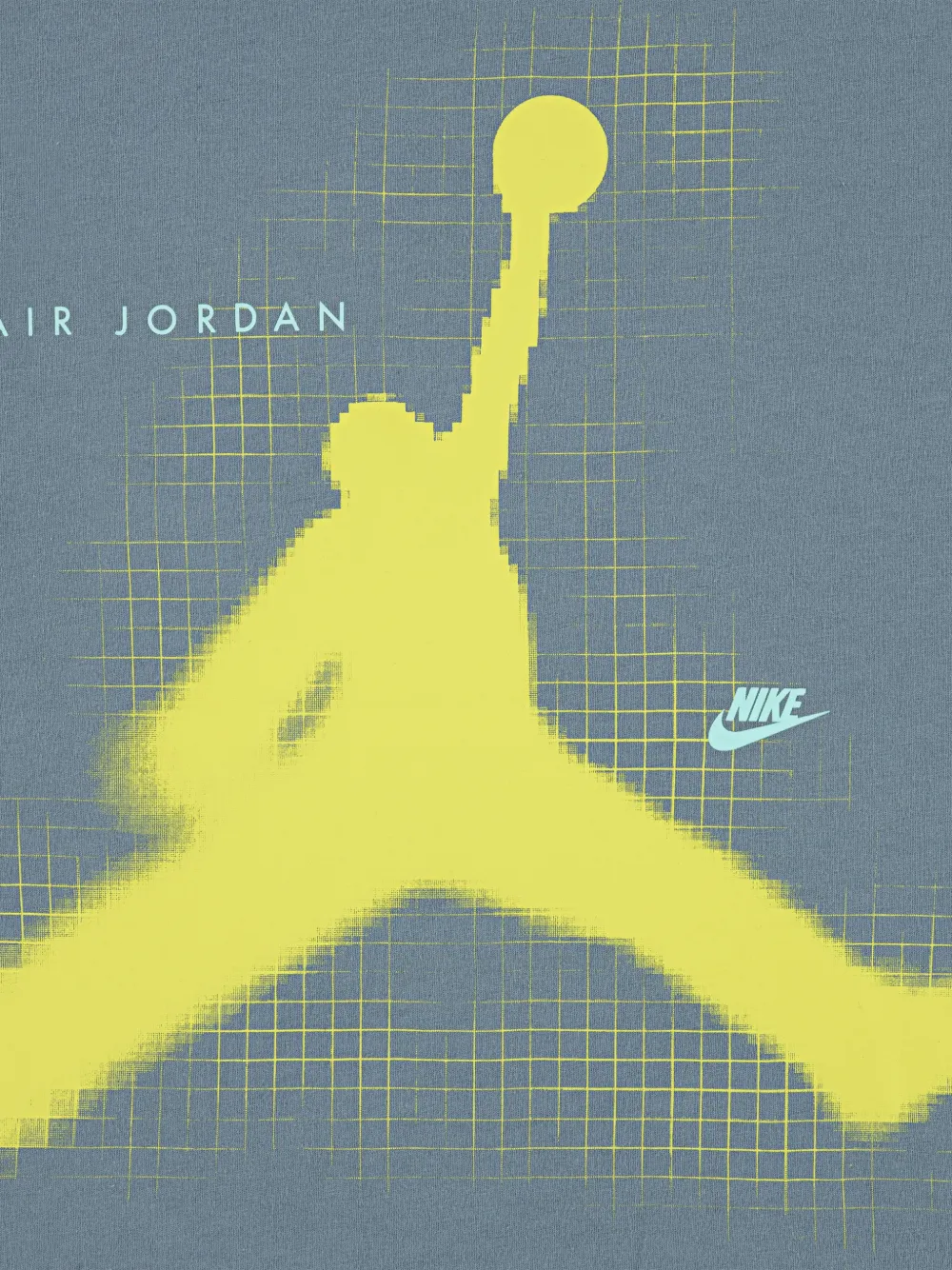 Jordan Kids T-shirt met grafische print Grijs