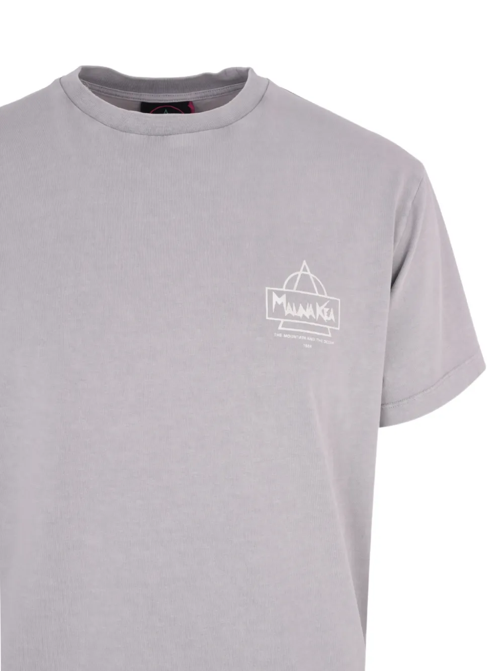Mauna Kea Printed T-shirt In Blue