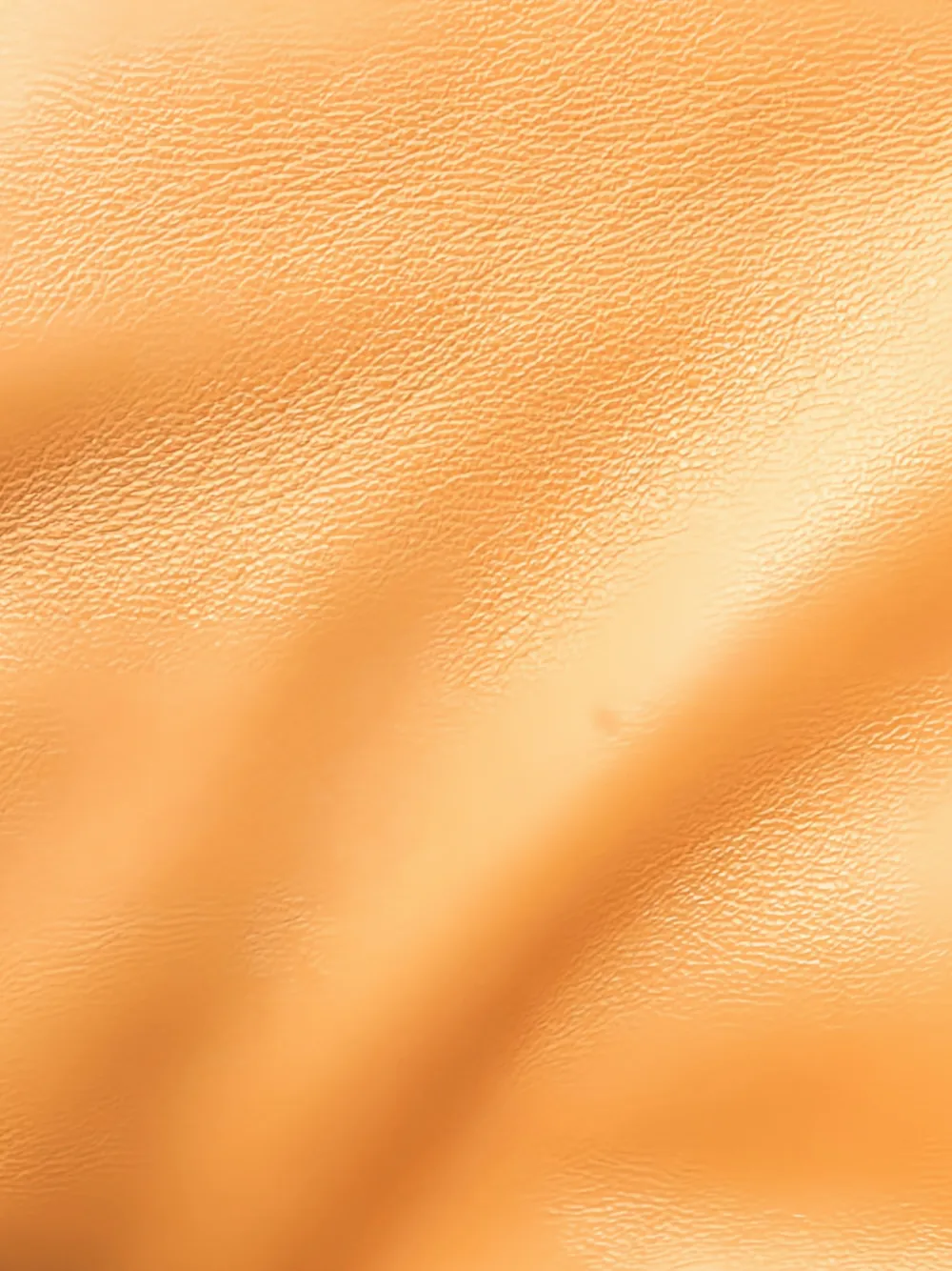 2010s Leather Crossbody Bag