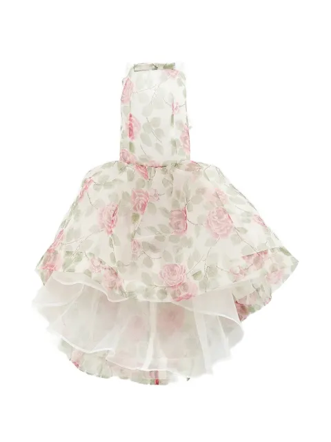 August Barron floral-print ruffled dress