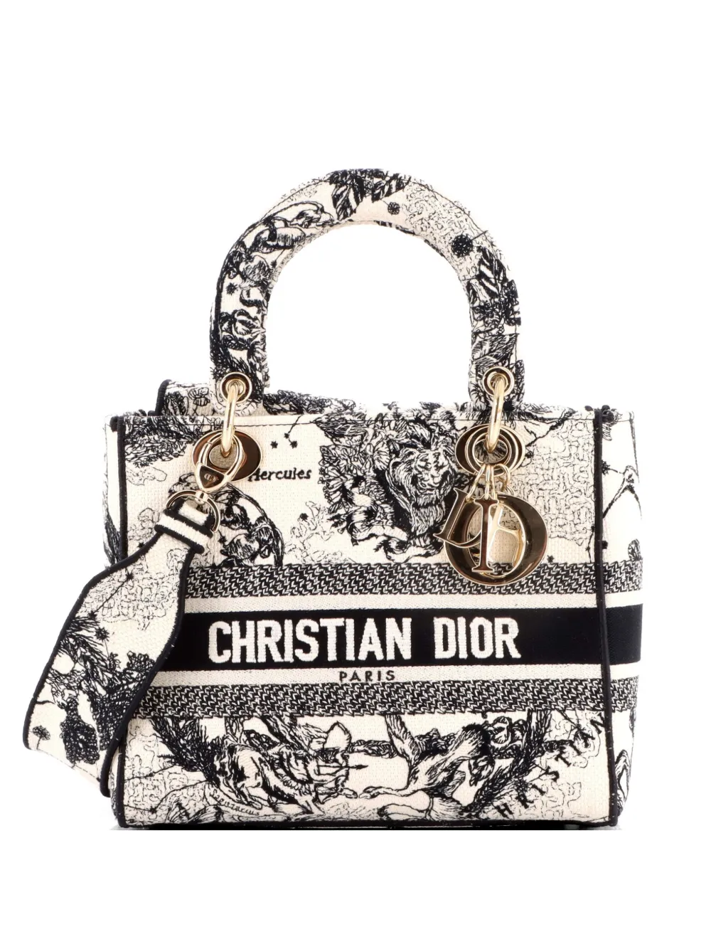 Christian Dior Pre-Owned Lady D-Lite Bag Embroidered Canvas Medium satchel - Schwarz