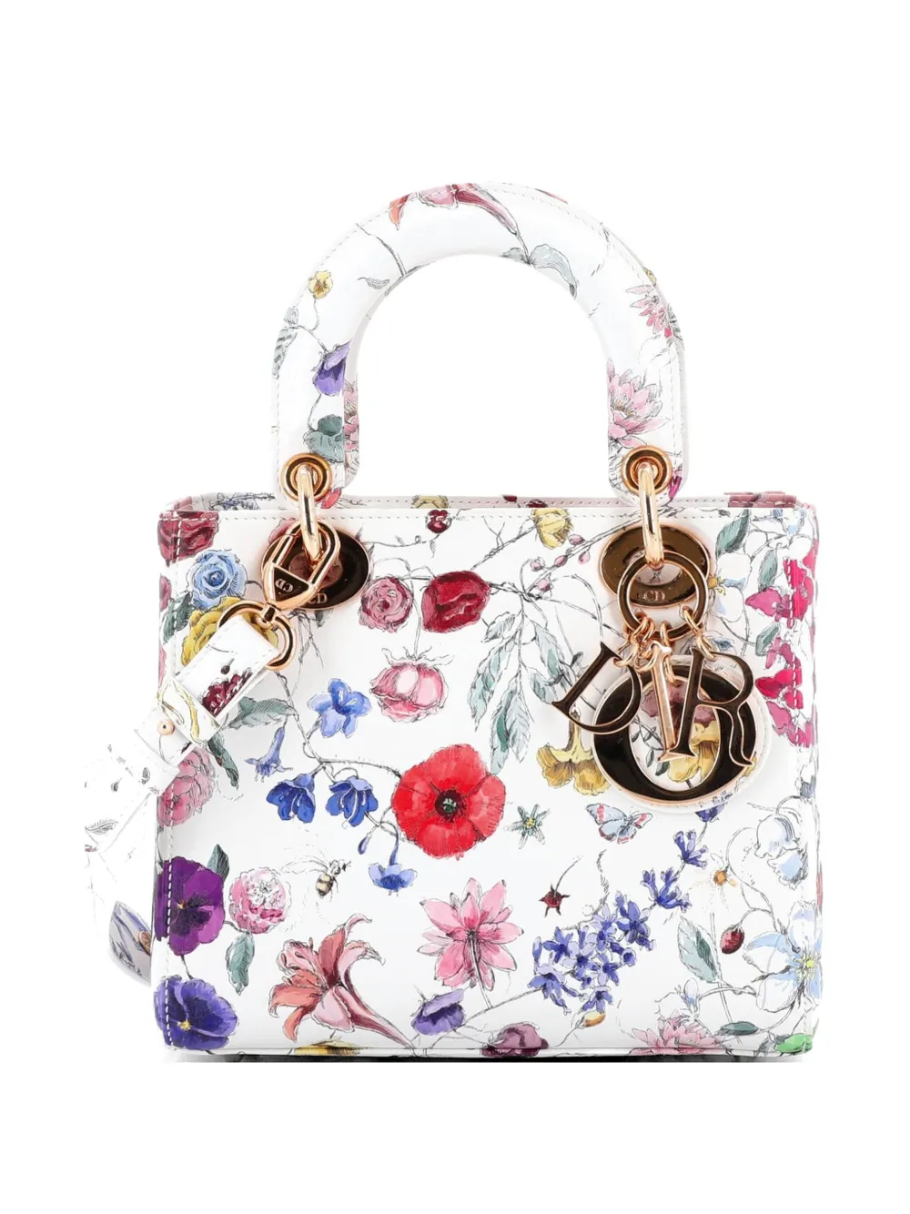 Christian Dior Pre-Owned My ABCDior Lady Dior Bag Printed Leather Small satchel - Multicolore
