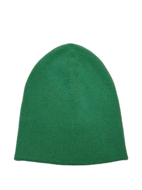 Aztech Mountain Duane Street Ribbed Beanie in Green