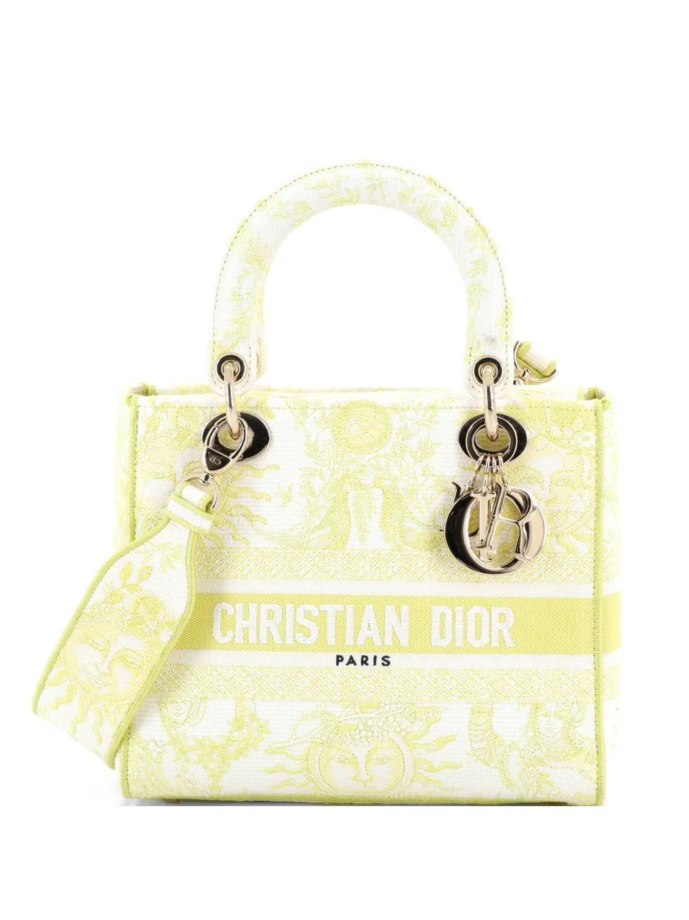 Christian Dior Pre-Owned Lady D-Lite Bag Embroidered Canvas Medium satchel - Gelb