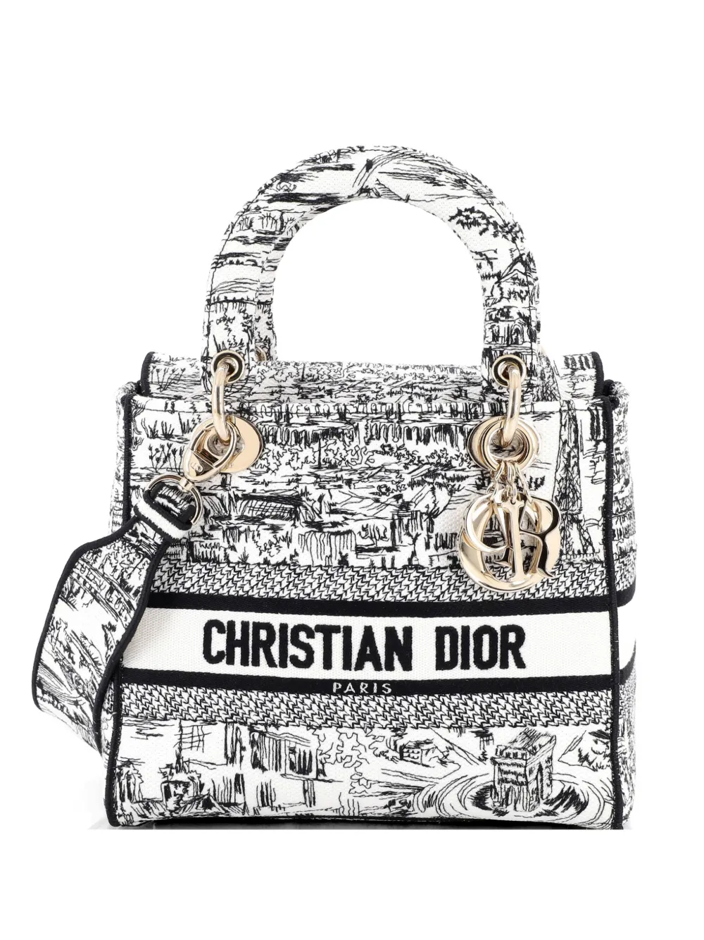 Christian Dior Pre-Owned Lady D-Lite Bag Embroidered Canvas Medium satchel - Bianco