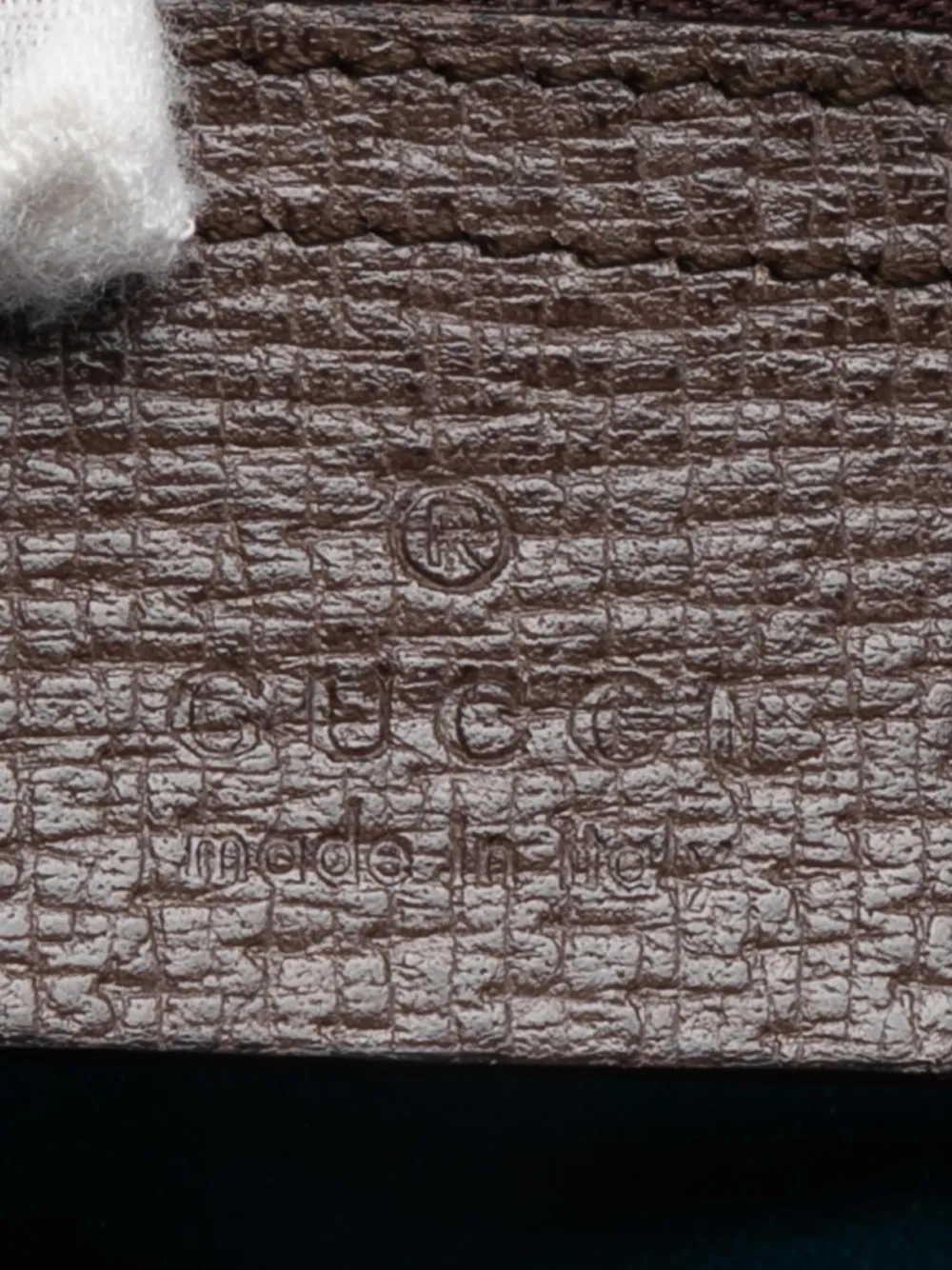 2016-2026 Medium Gg Supreme Web Ophidia Chain Shoulder Bag