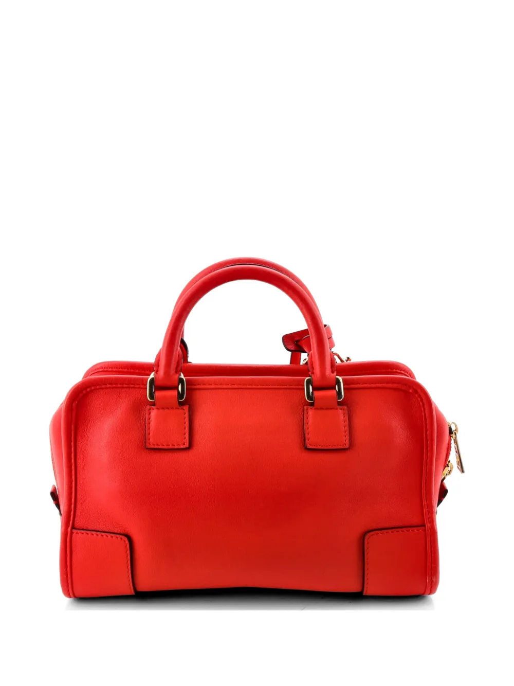 Amazona Nm Bag Leather 23 Satchel