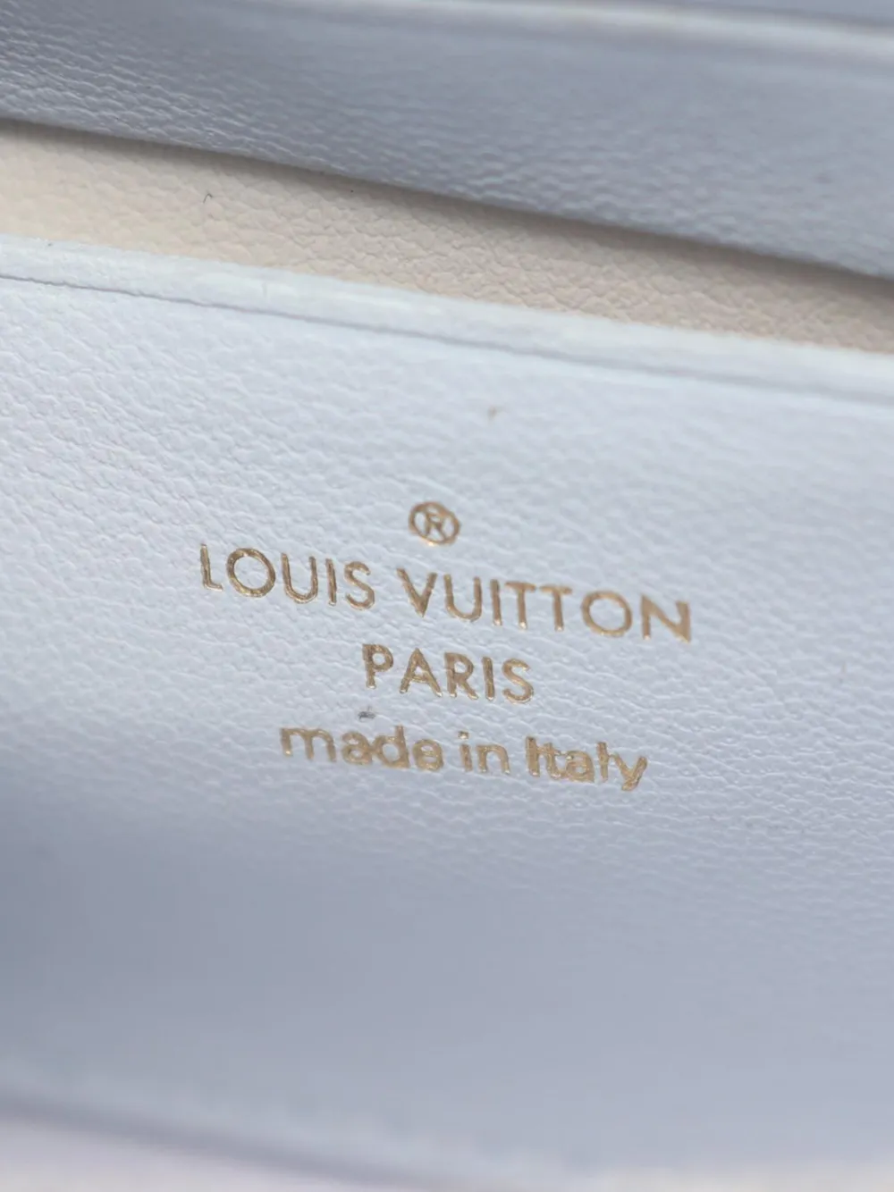 Louis Vuitton Pre-owned 2010-2026 Bubblegram Wallet on Chain Handbag in Blue, view 5