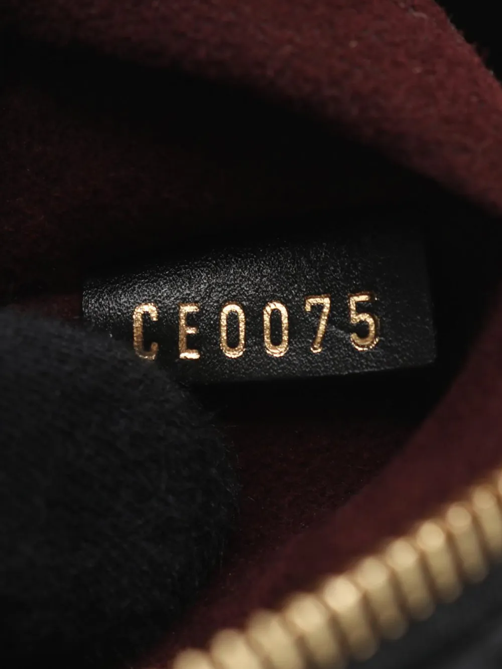 2005 Monogram Vienna Klara Shoulder Bag