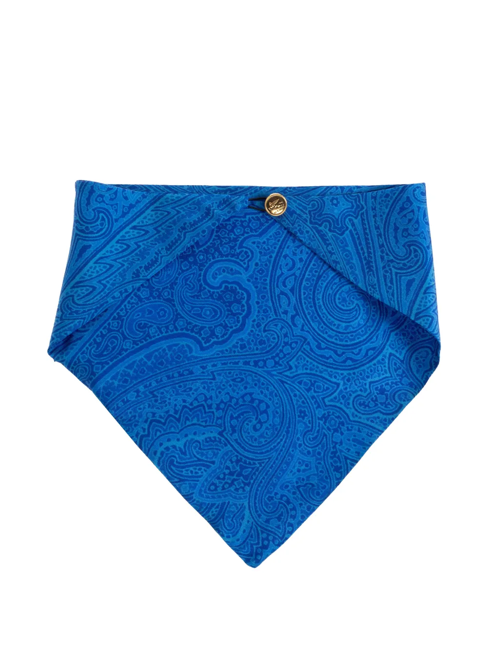  Etro Paisley Button Scarf - Blue 