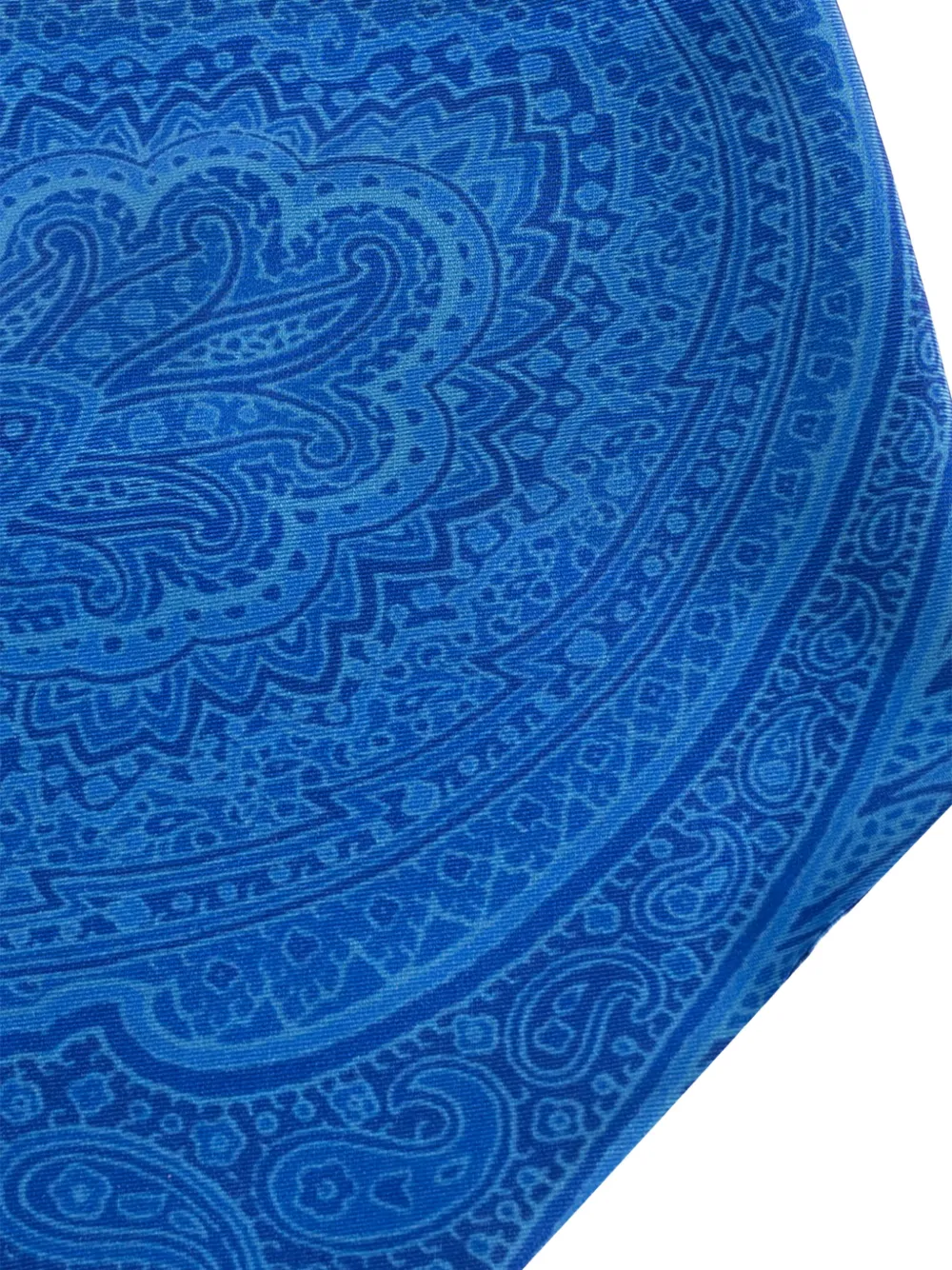  Etro Paisley Button Scarf - Blue 